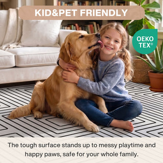5x7/8x10 Machine Washable Area Rug, Modern Geometric Non-Slip Low Pile Indoor Carpet for Living Room, Oeko-Tex Certified