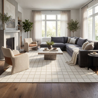 5x7/8x10 Modern Plaid Area Rug, Checkered Washable Rug Soft Non-Slip Ultra Thin Throw Carpet for Living Room, Oeko-Tex Certified